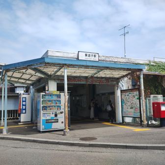 ゴールの東逗子駅。

今回、イノシシらしき存在とニアミスだった。

何もなかったから良かったが、一人で行動していたし、ケガでもしていたら危なかった。

山に行くのならば、熊がいなかったとしても、猿やイノシシ対策に、熊撃退スプレーはあった方が良いのかもしれない。

改めて、登山には危険があることを感じた。

対策や準備はしっかりして、後は「なるようになれ」だな。

お疲れさまでした。