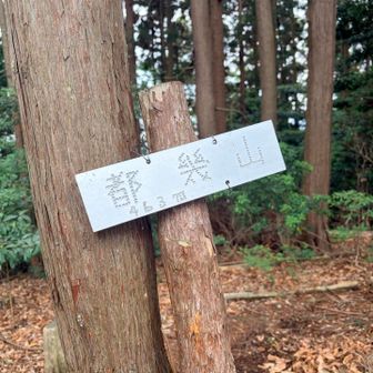都幾山
眺望なし