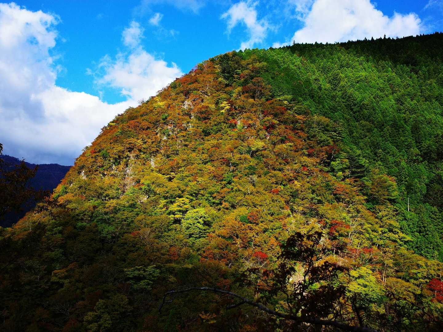 紅葉🍁が冴えない竜頭山南尾根の岩壁