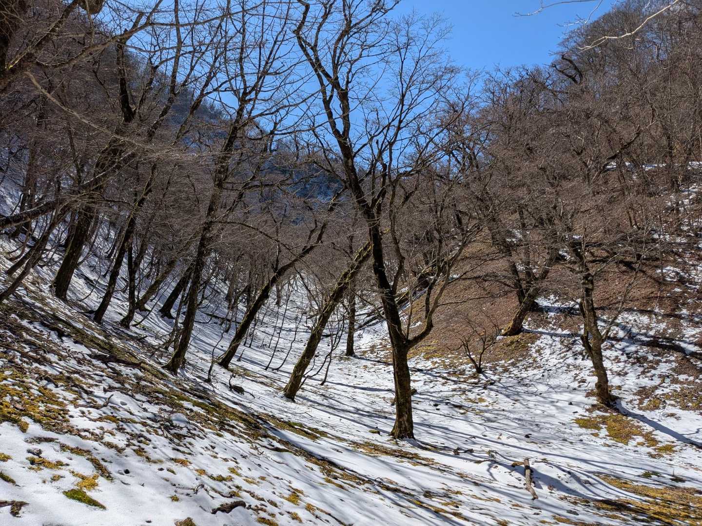 沢まで下山　温泉♨️へ急ぐよ💨💨💨