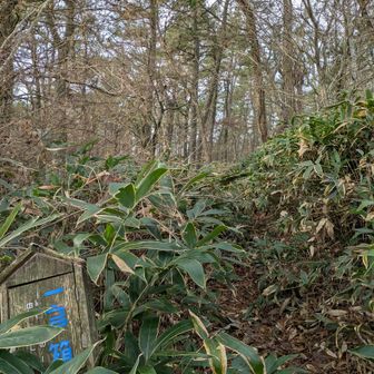 ちょっと背丈が上がってきたけどまだまだ余裕