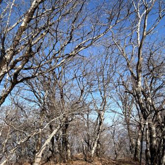 山頂の空は綺麗です