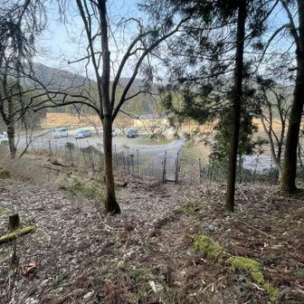 ここに下りてきます