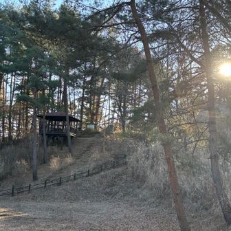 あっと言う間に下山
予定より早く下りれた😃
ホイホイのおかげかな⁉️🤣