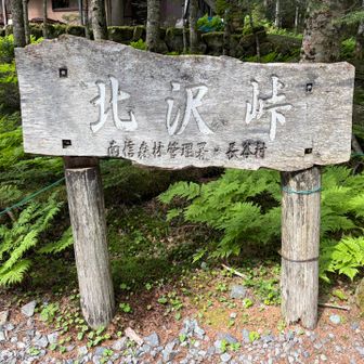妻に16:00のバスに間に合わないかもとハッパを掛けたら、下りが苦手な筈の妻が脅威の集中力を発揮し、なんと一本前の15:00バスに間に合う時間に下山できました👏

せっかく早く下山できたのだから、仙流荘でゆっくり汗を流していこう♨️と楽しみにしていたのに、なんと臨時休業とのことで入ることができませんでした🥲

帰路に使う中央道は渋滞するイメージしかありませんが、平日はとてもスムーズに流れているのでビックリです。今朝の所要時間と変わらない時間で帰れました。なんだかクセになりそうです🤭