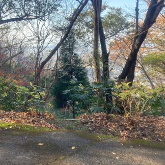 このポイントから細い山道を下ります。