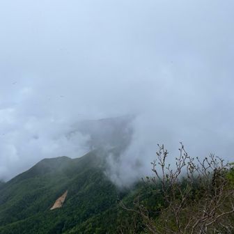 しかしガスだらけ(笑)