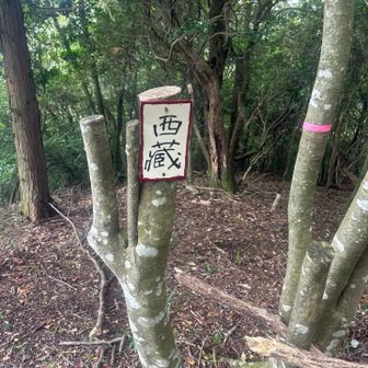 西蔵　西山　どちらでも良いのかな？？