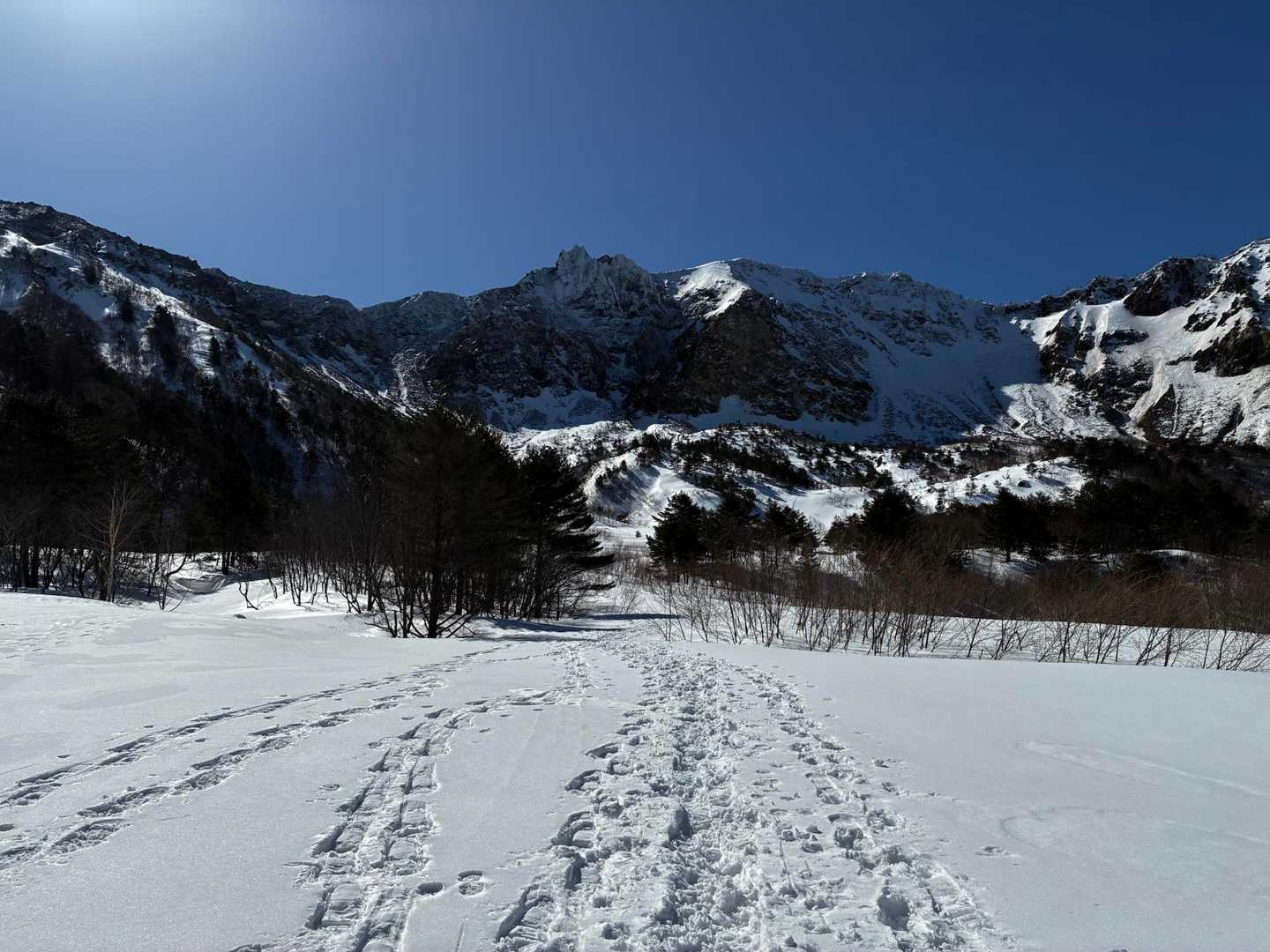 銅沼の雪原に到着。イエローフォールを経由するために、右側のトレースに行きます。経由しない場合は真っ直ぐのトレースを辿って行きます。