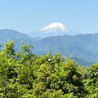 栗ごはん