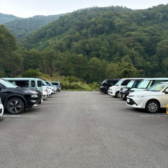 で
まさかの
コンビニ無い国道で
登山口まで
一切無い
金沢から
くる時は
要チェックやな！

で
最初
下の一ノ瀬🈚️🅿️に
停めたけど
ちっちぇ虫が
ワンサカたかってきて
おまけに
ベット用意してたら
虫が車内に
ワンサカたかって
最悪⤵️

で
怖いけど
上の🈚️🅿️へ

なんと！
月夜で明るく
6割方埋まってて
怖くない
しかも
涼しい
中の虫を追い出すべく
ヘッデンに
誘うも
時すでにお寿司
一向に食い付かず

中で
スマホ見てると
たかってくるのに

で
明るくなると
続々と車も上がってきて
少し早いが
出発

やはり
一流階級の🈚️🅿️は
最高😊