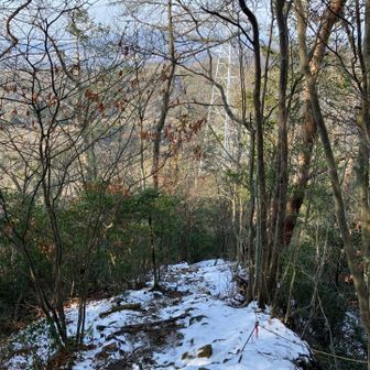 滑りそう😨
下山は三叉広場から林道で🅿️へ。