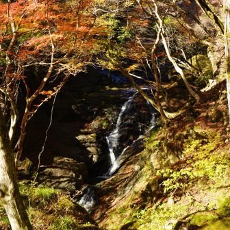 いい週末でした😌