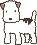 Minami