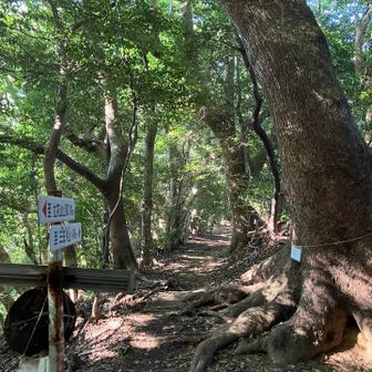 三日月山への縦走路