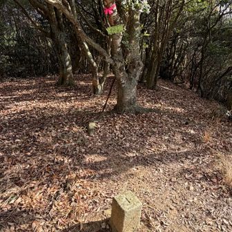 三角点と標識あります。