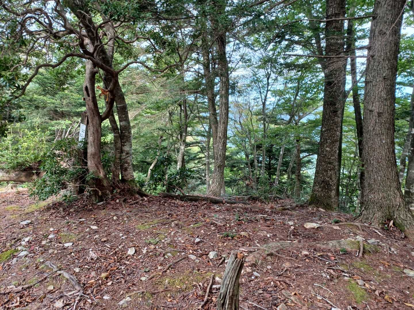 平屋富士の写真