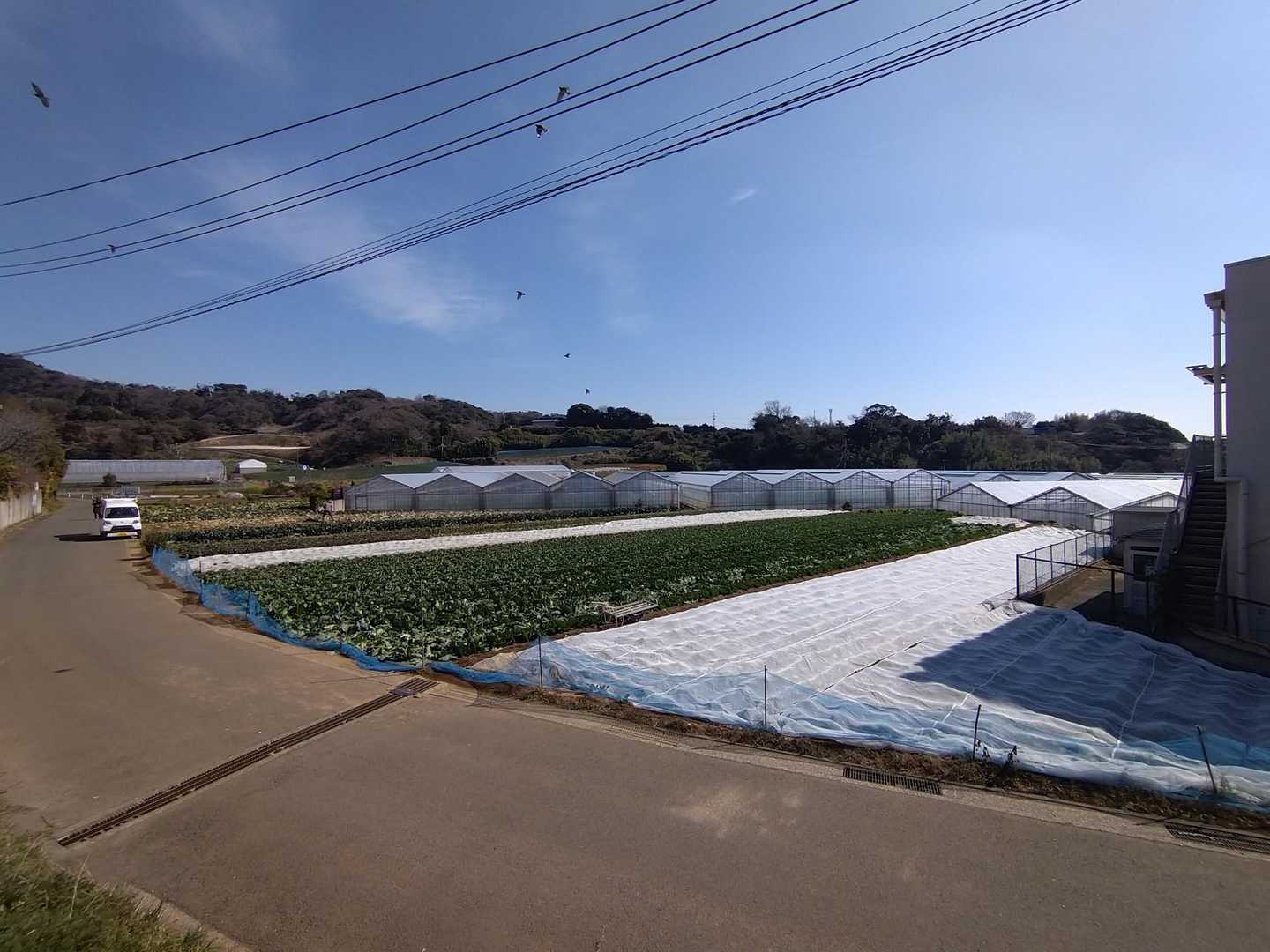 畑の横を歩いていきます
野菜などを近くのお店で売っていますよ😃