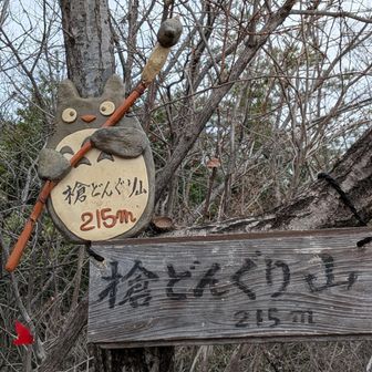 槍どんぐり山　215m