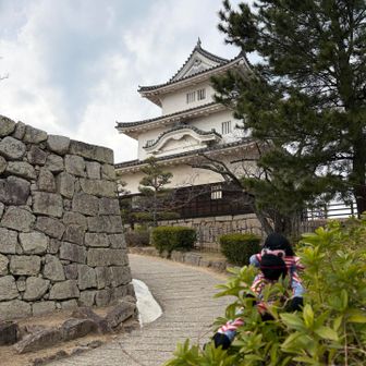 小さいながらも由緒ある天守閣