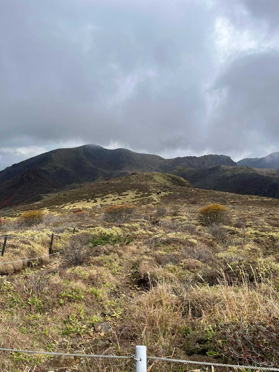 赤川登山口-扇ヶ鼻 往復コースの写真