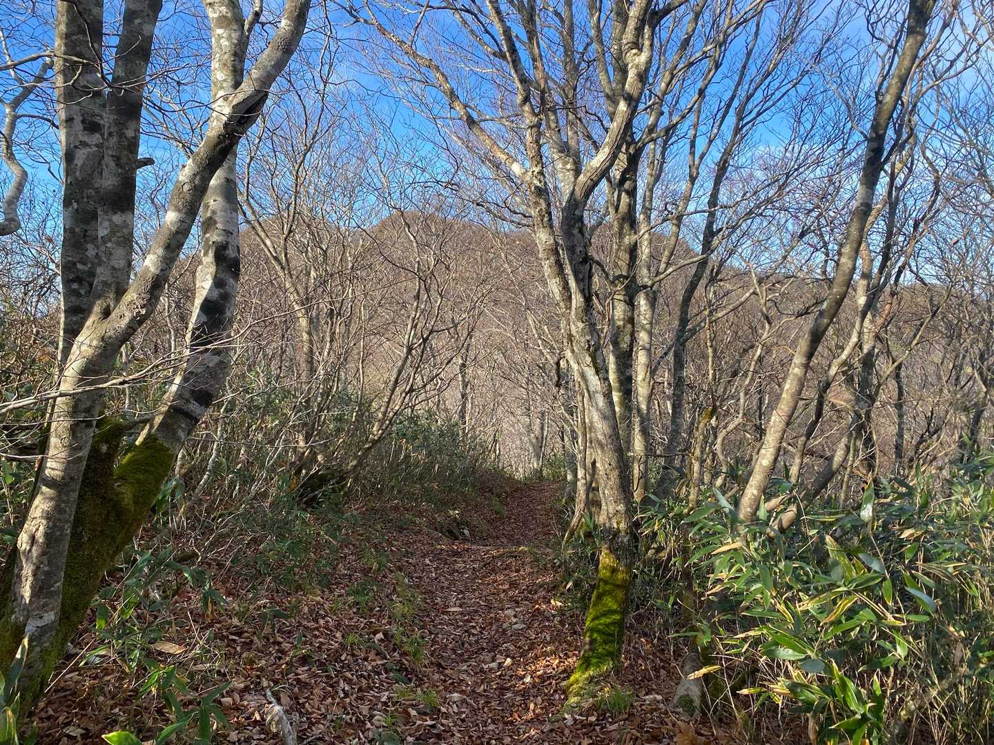 目指す猫魔ヶ岳
