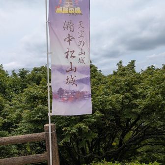 一度見てみたいなぁ😊