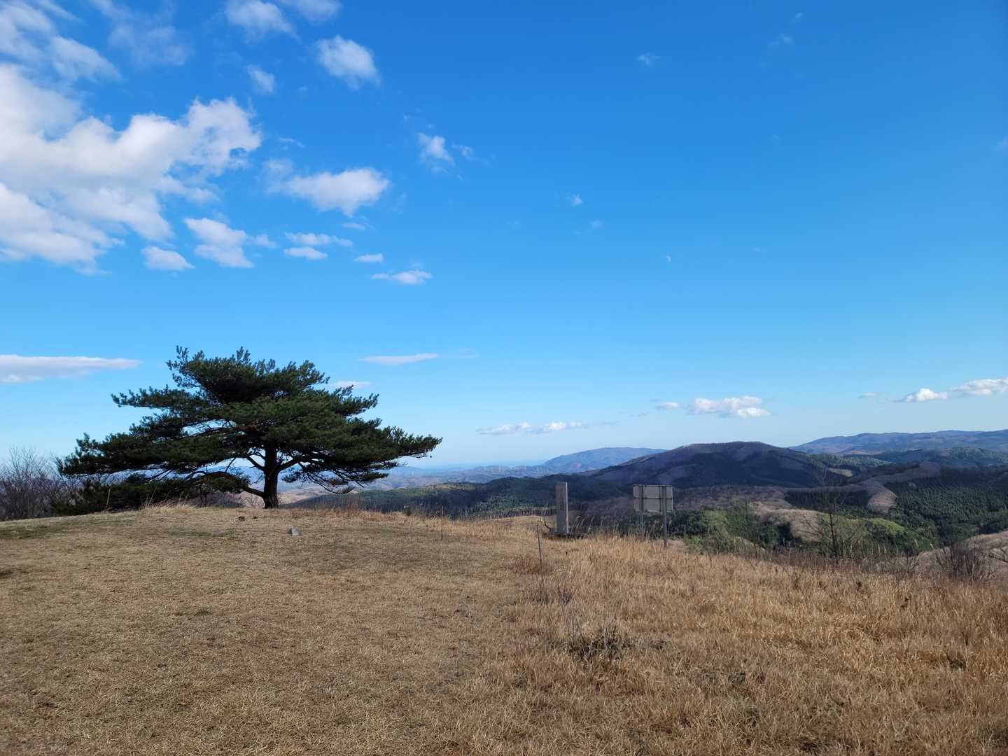 芝山 往復コースの写真