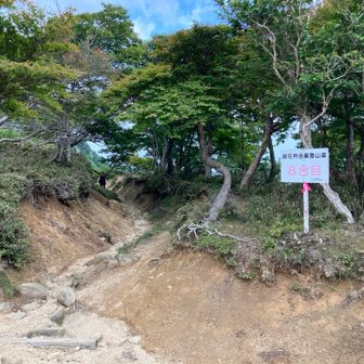 降りるぞー