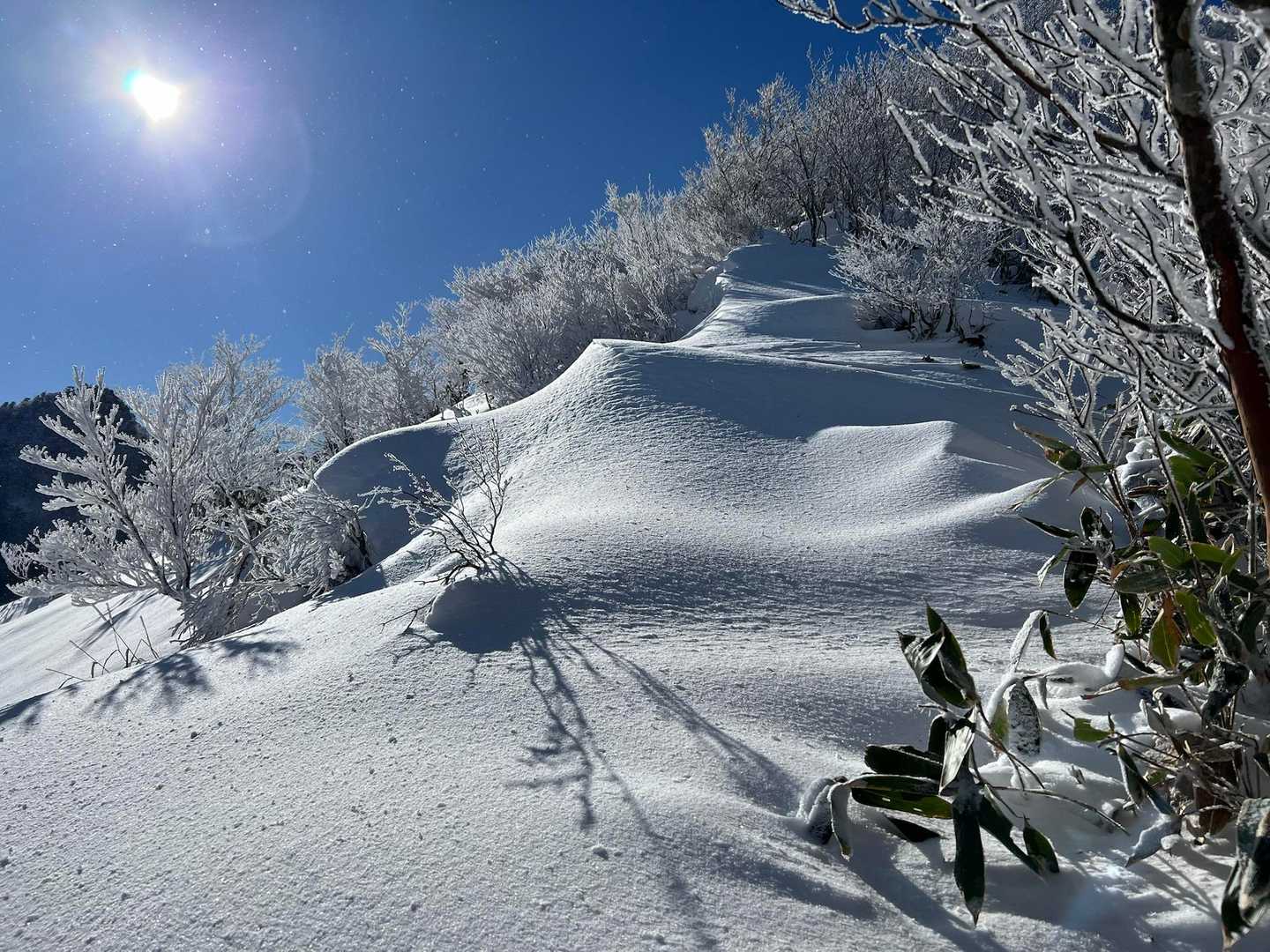 旧寒風山トンネル南口-伊予富士 往復コースの写真