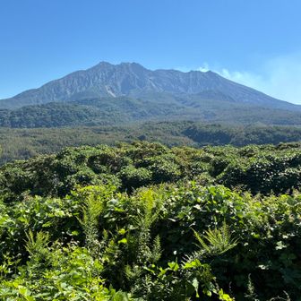 一座目　城山　北岳、南岳が綺麗に見える