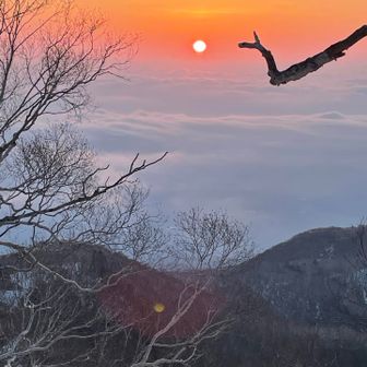 「太陽はここからでるよ」
と言ってそうな枝が邪魔でした😙