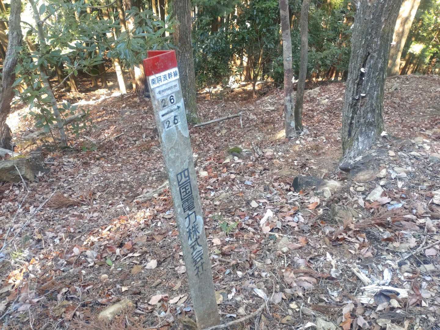 目印になるかどうかだけど、これがあるとこ
