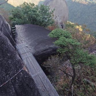架橋とワイヤーロープ