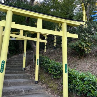 黄色は健康🟡