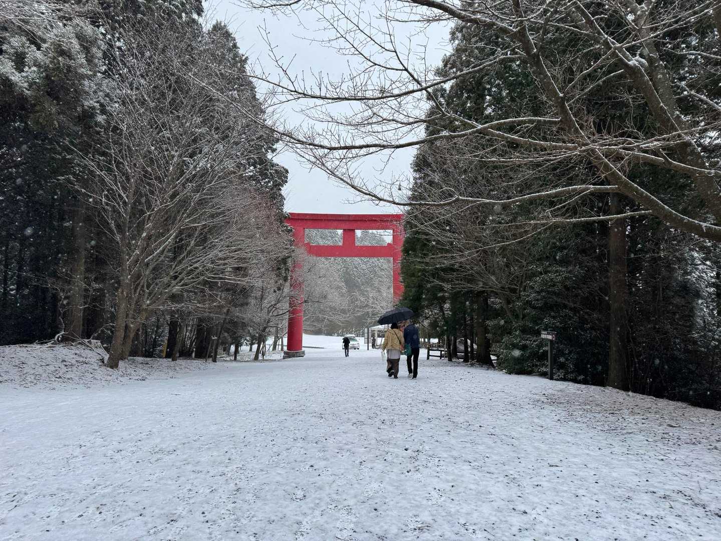 ここはこんな感じ。
うっすら表面だけ白い🤍