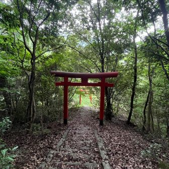 鳥居まで下りました