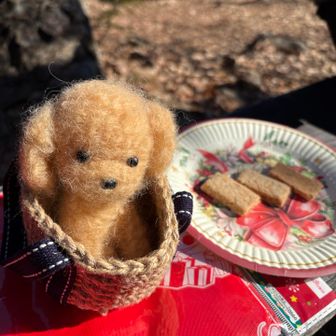 可愛いฅ՞•ﻌ•՞ฅฅ^•ﻌ•^ฅ‎´•ﻌ•`🐾
いつも一緒なのね💕︎