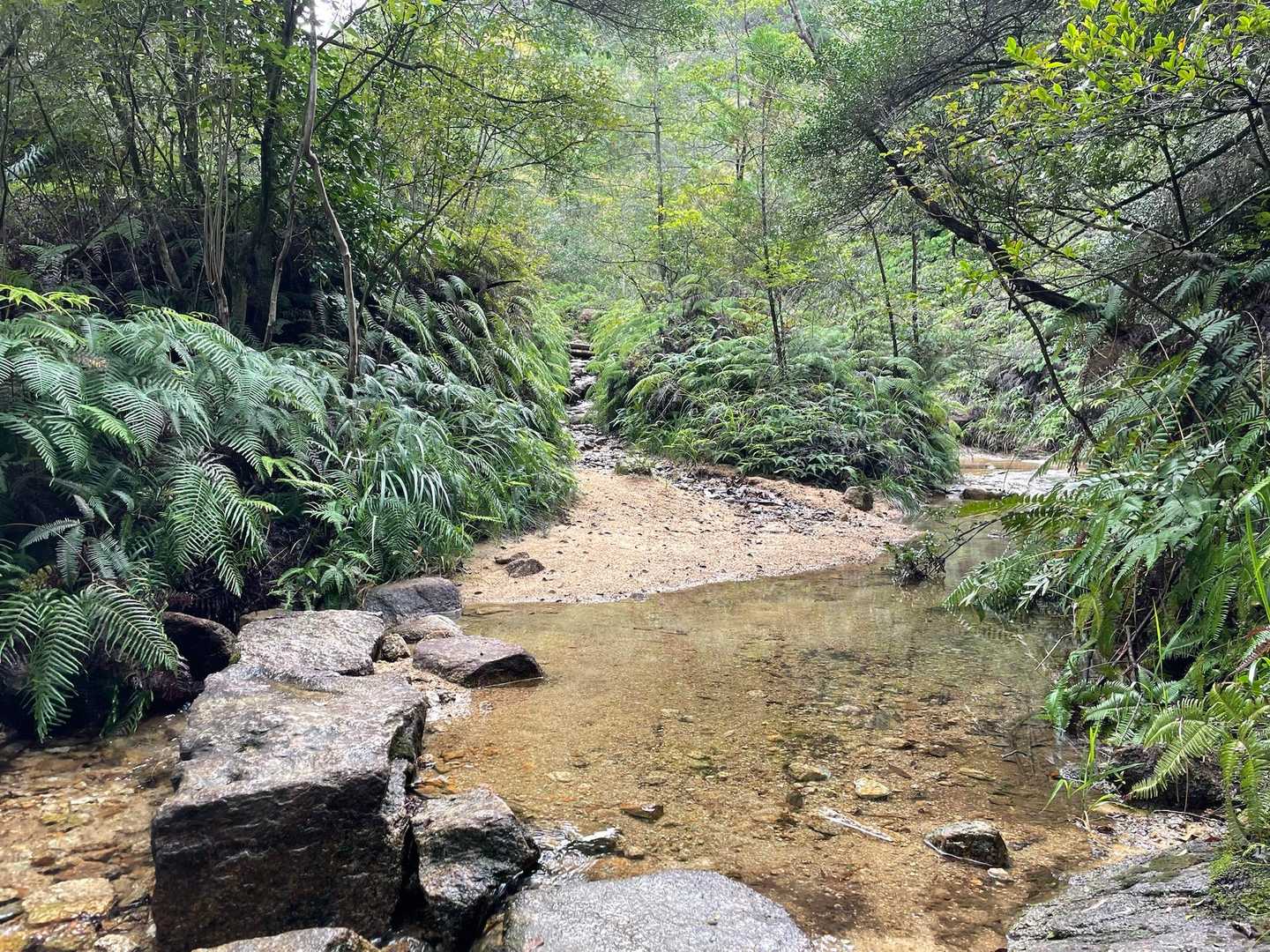 登山道、雰囲気良き✨