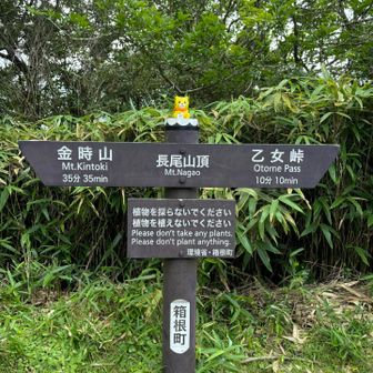 長尾山頂⛰️
なぜかJAバンクの寅貯金箱が…🐯