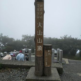 山頂に到着。
さっきまで雲一つなかったのに、山頂からはもう何も見えません。
眺望期待して来たのに…😪
