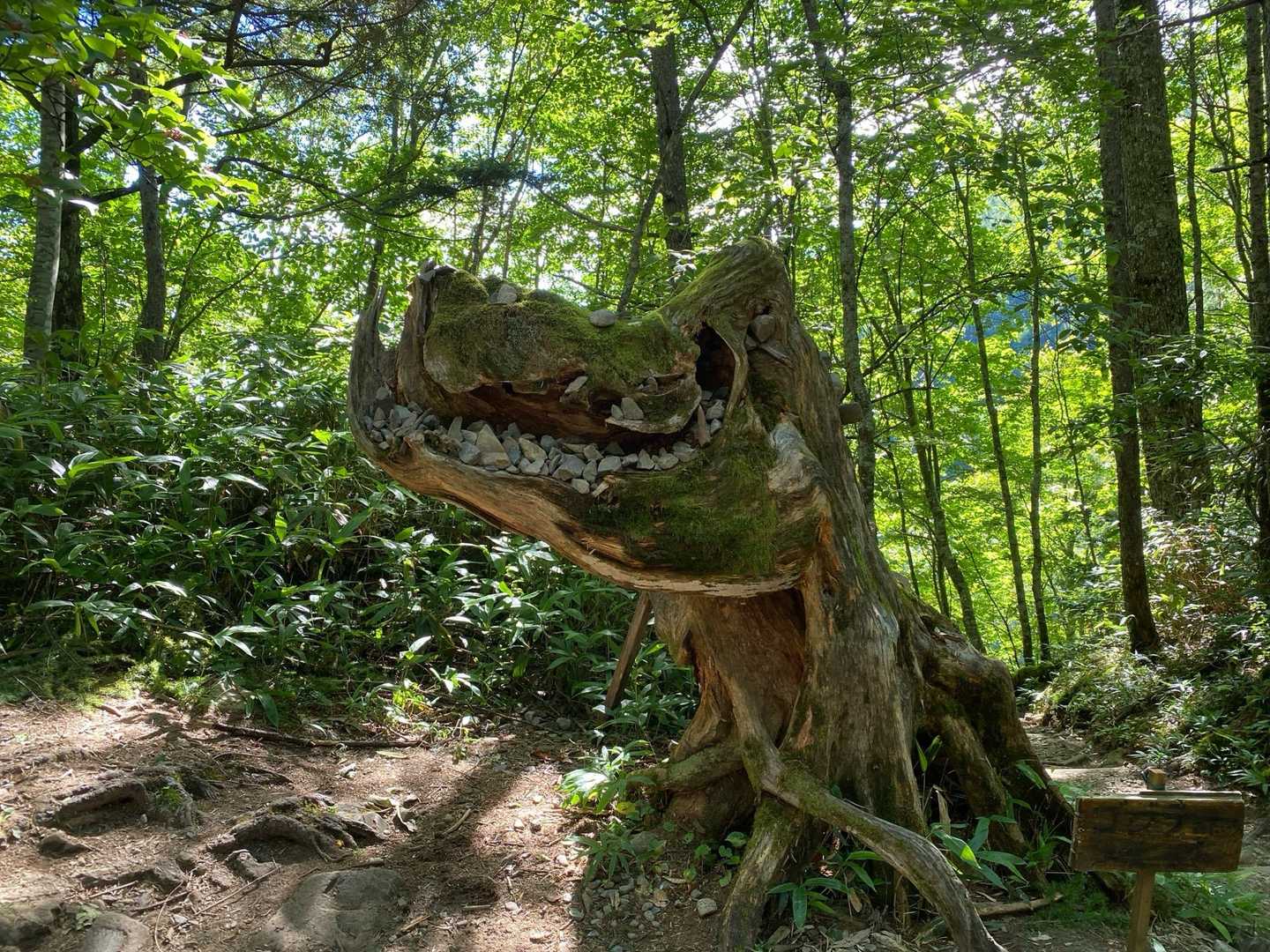 三股登山口-蝶槍 往復コースの写真