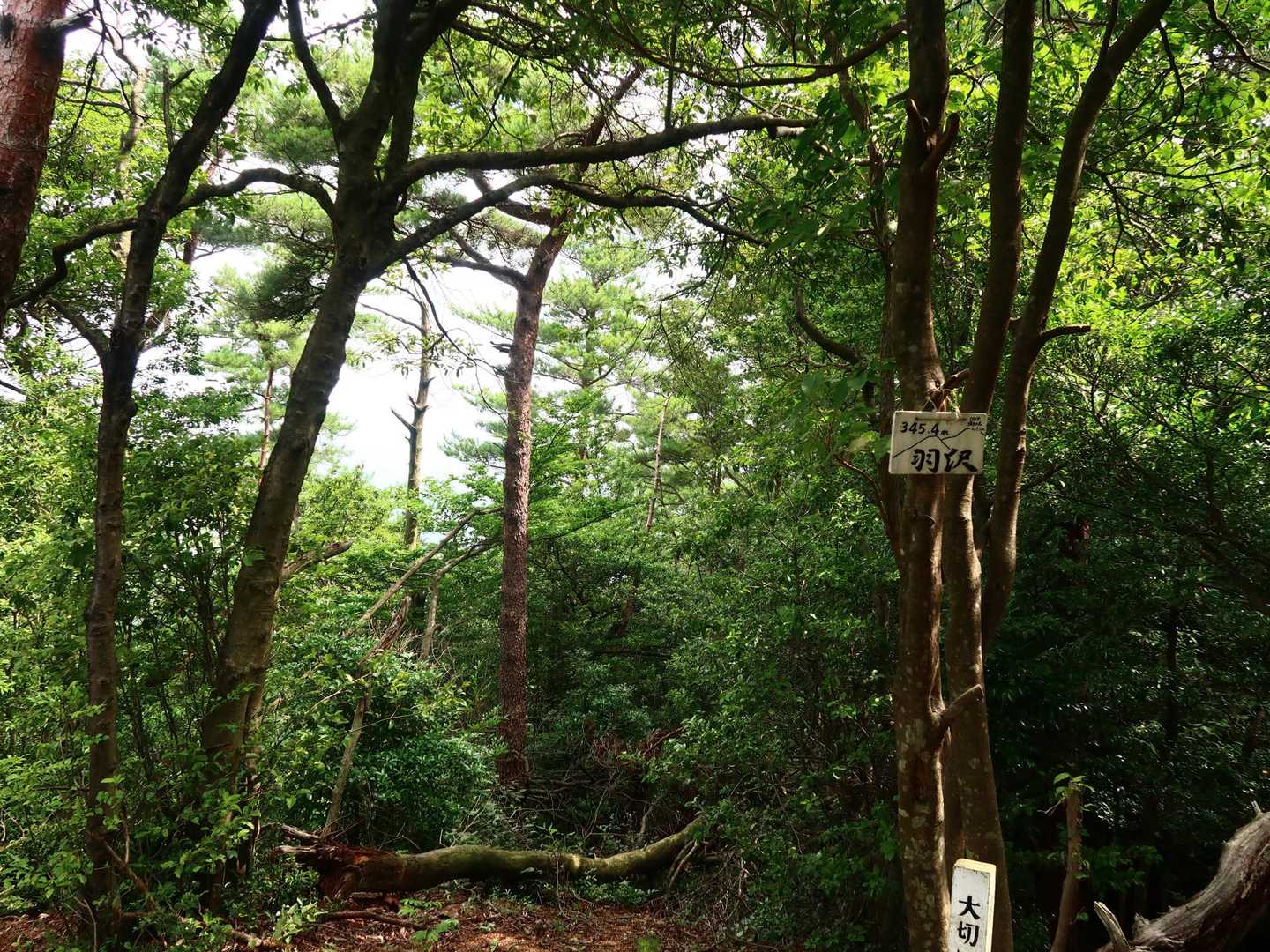 羽沢ついたー　もう汗だくだから帰る！