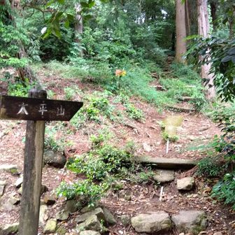 ラストの太平山へ