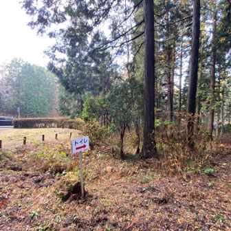 ここをはいっていくとありました

ほら、いつもよりなんか案内多め(*ﾟ▽ﾟ)ﾉ