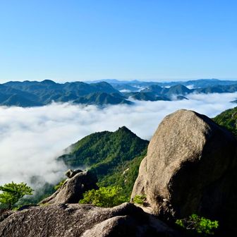 どこまでも雲海です！