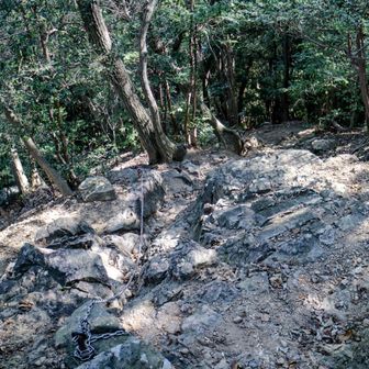 終了点から見下ろす
予想通り、鎖を使わずとも全然昇降出来る
ポールから手を離すことも無かった
多峯主山東斜面レベルだな