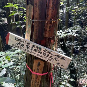 さっきの籔こぎで行けなかった道を反対方向からなら行けるかな…と恐る恐る行く
