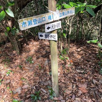 鷹見神社へ先ずは下ります！
