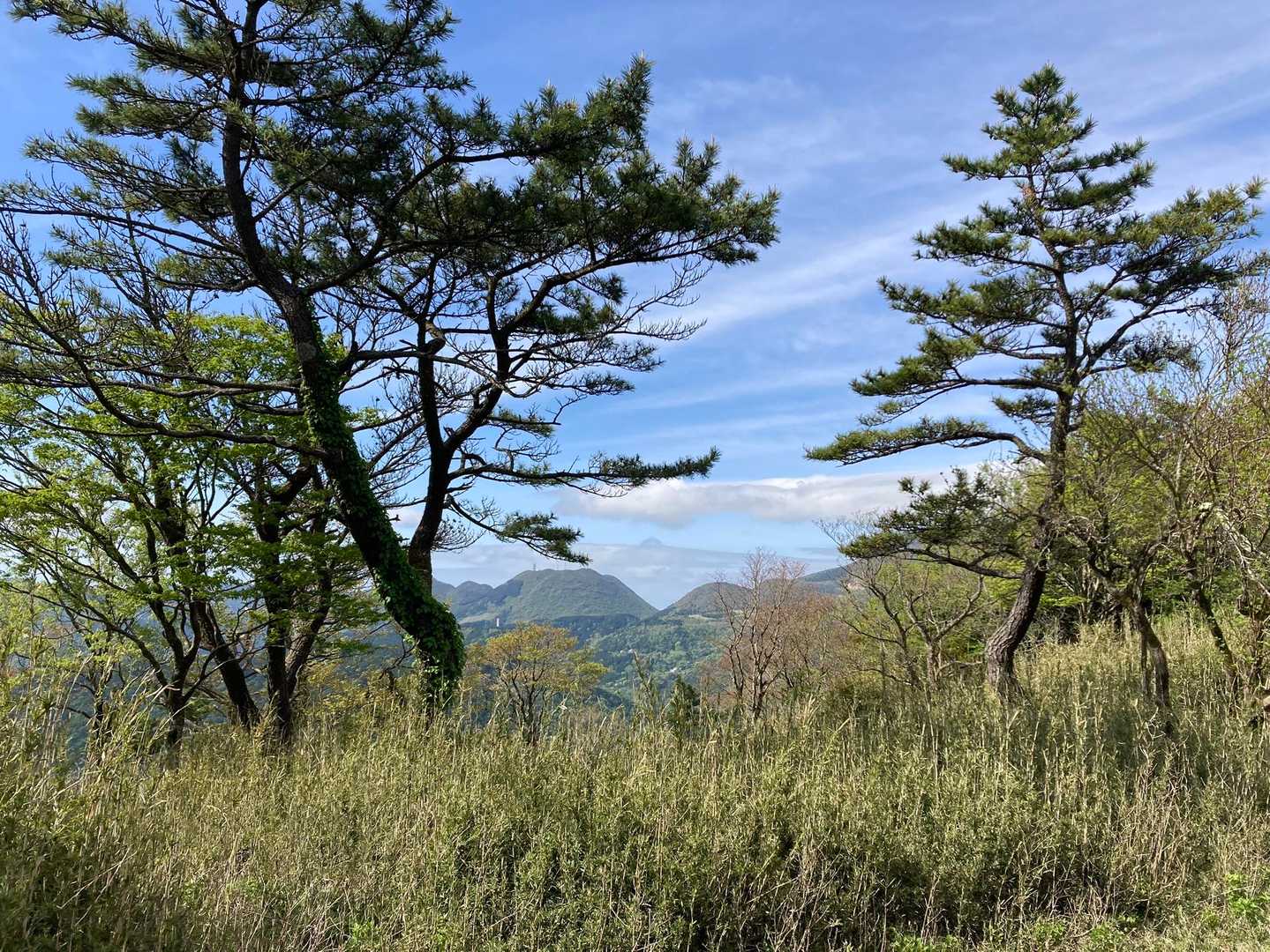 明星ヶ岳🪧

良い天気やね〜☀️